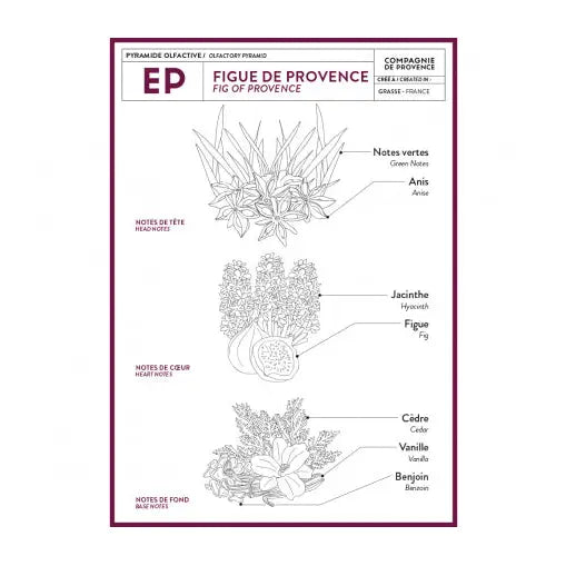 Fig of Provence Travel Hand Cream