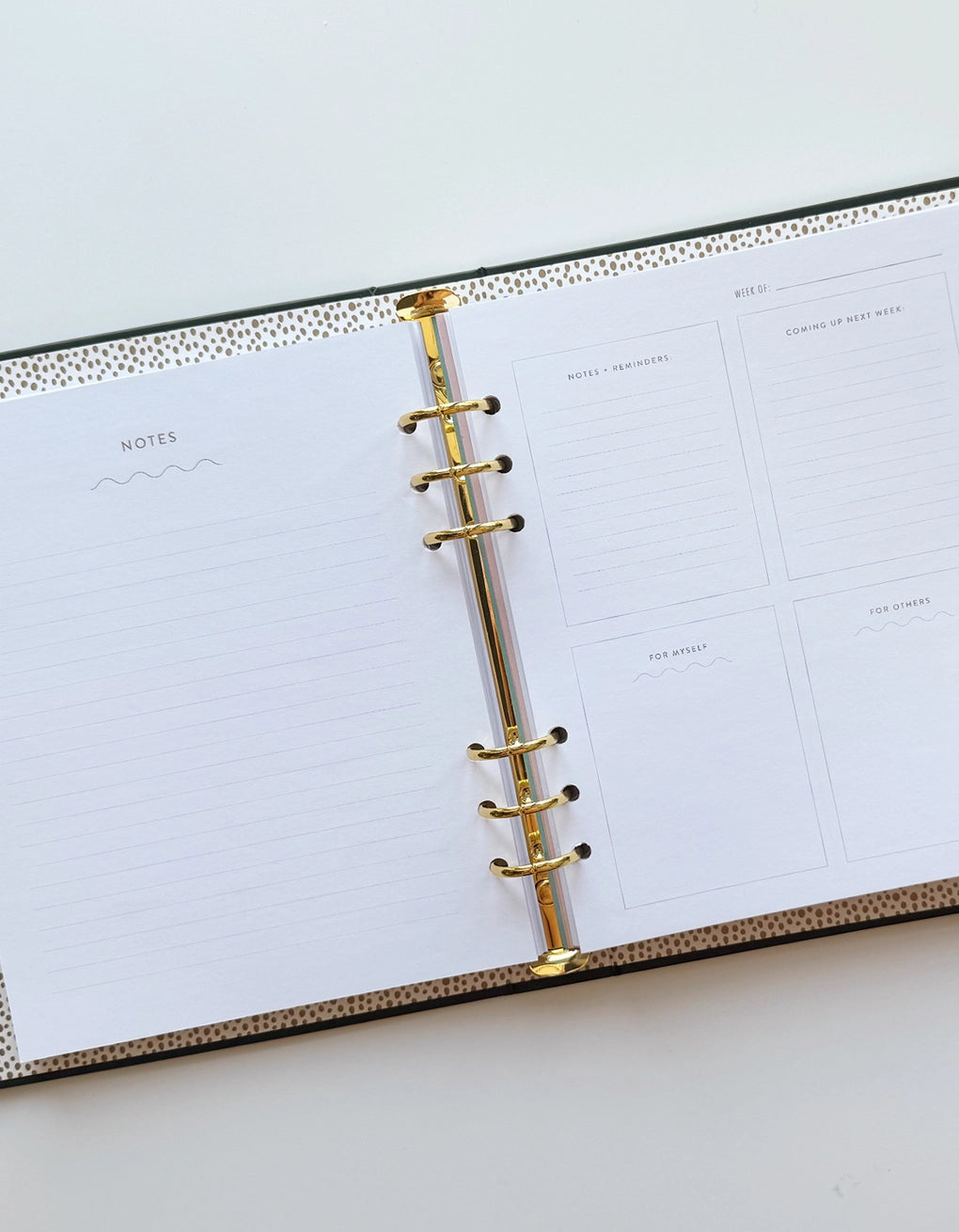 Idlewild Perpetual Planners, Non Dated