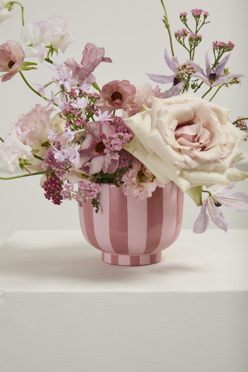 Pink Striped Collection