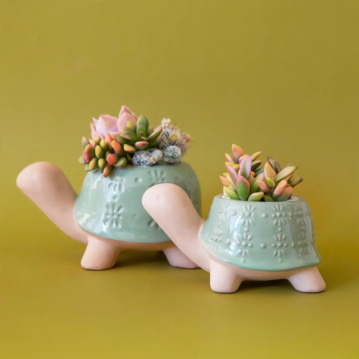 Lagoon Turtle Planter