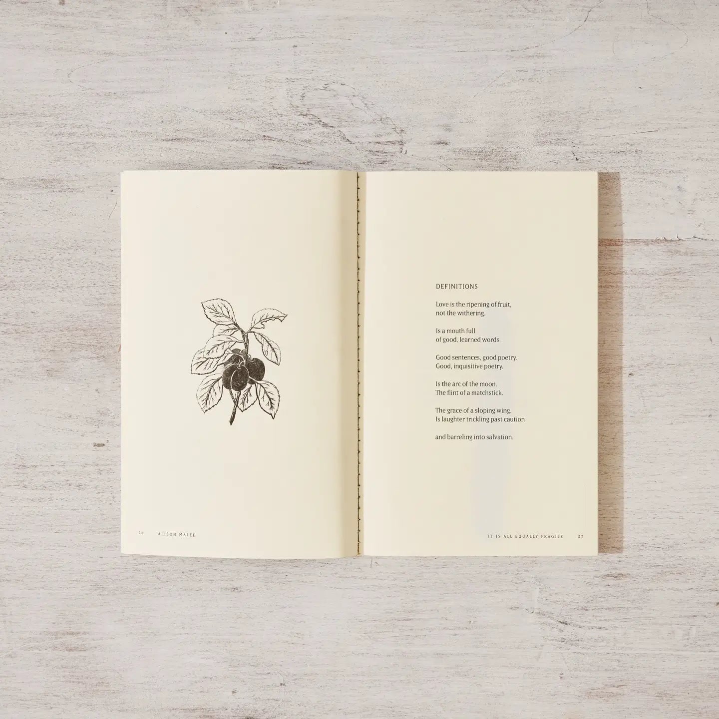 It Is All Equally Fragile - Poetry Book