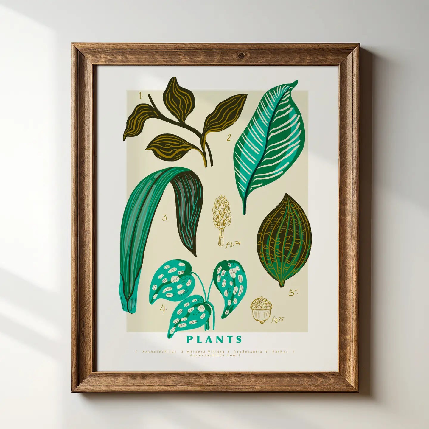 Plants-Scientific Art Print