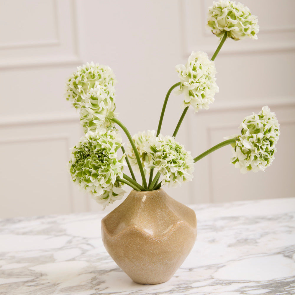Whitman Budvase