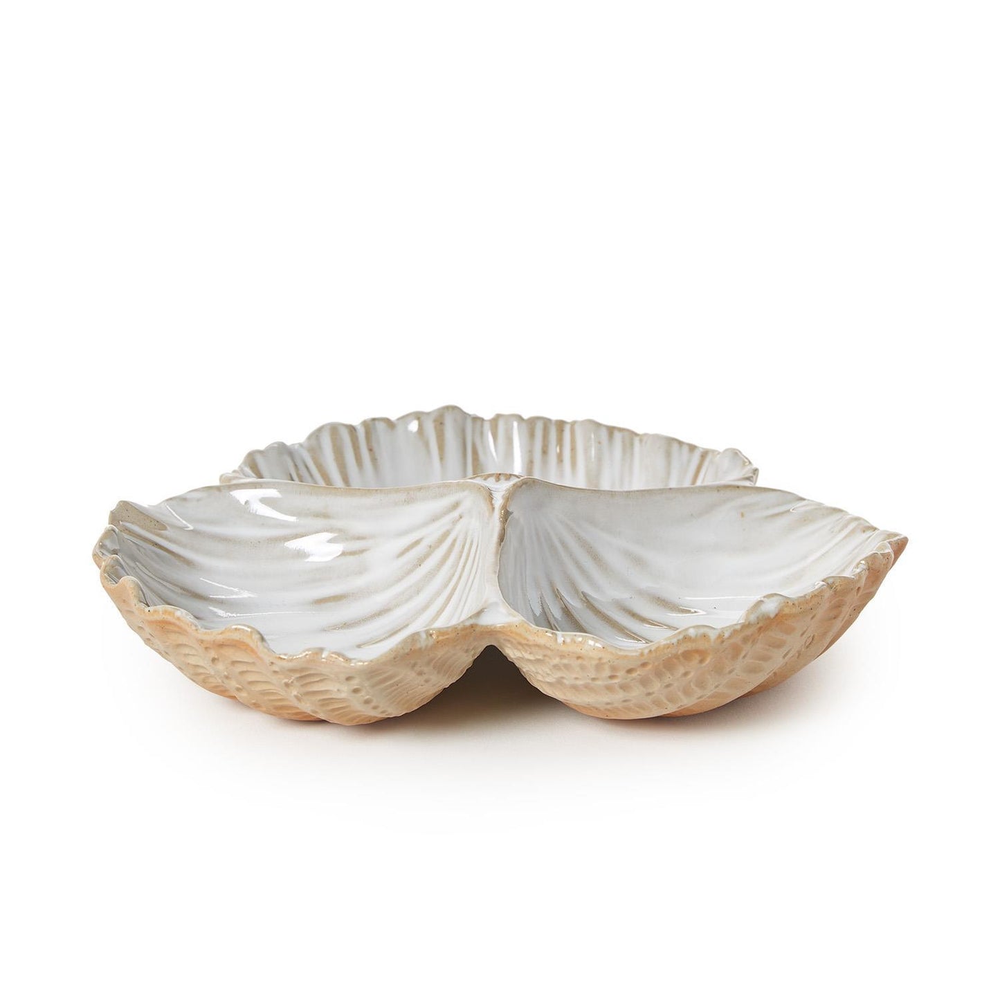 Sectioned Clam Shell Dish