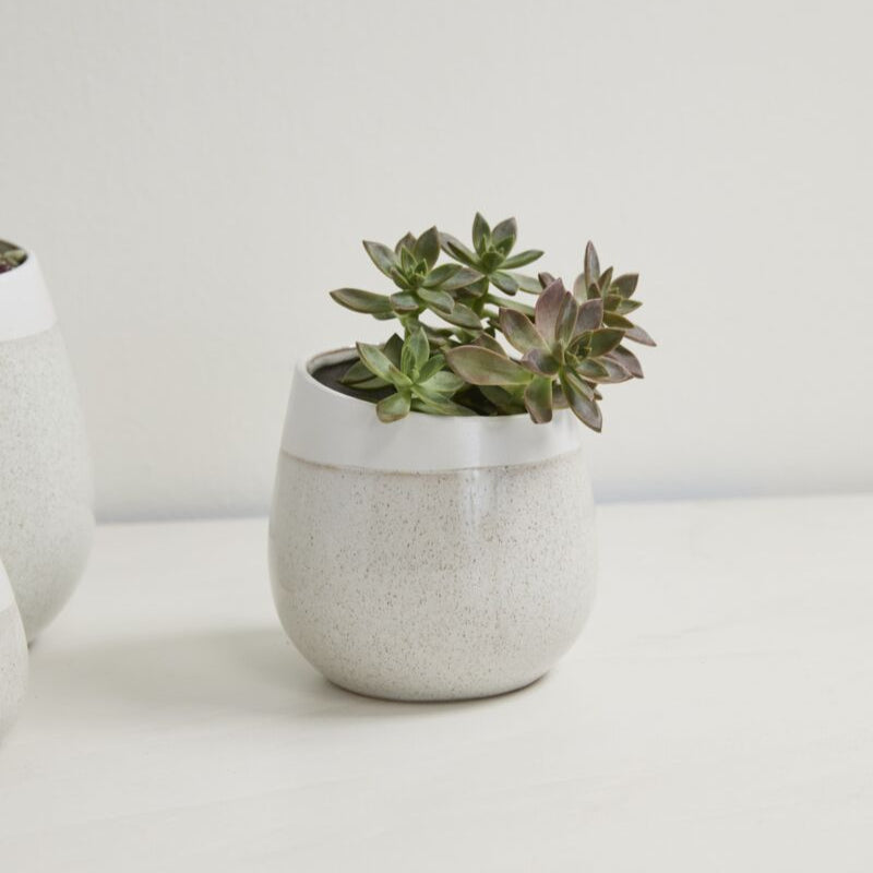 Choice Pot