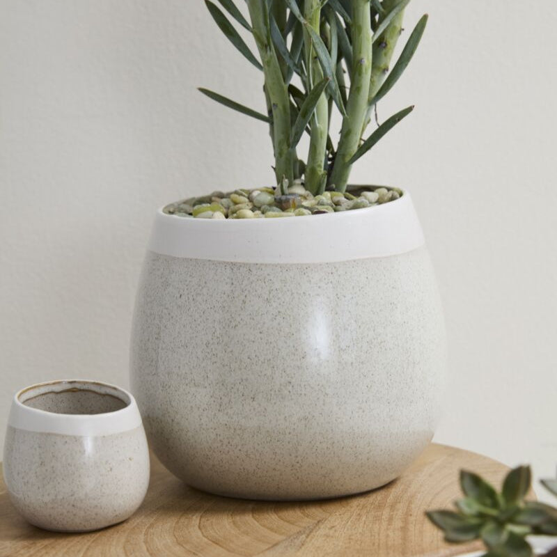 Choice Pot