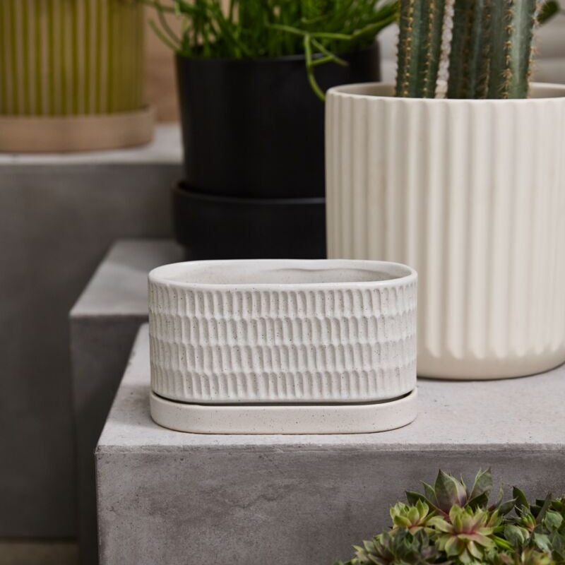 Zelle Planter with Saucer