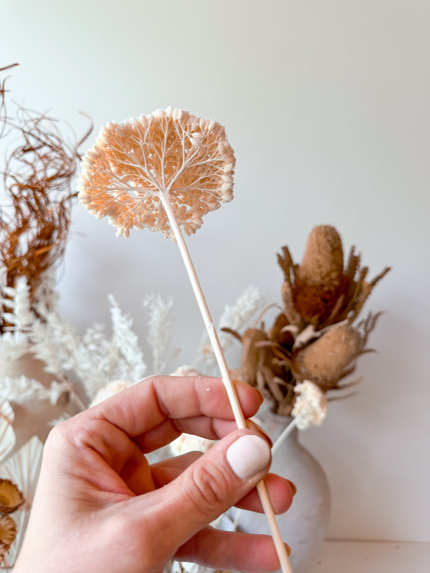 Dry Bar | Yarrow
