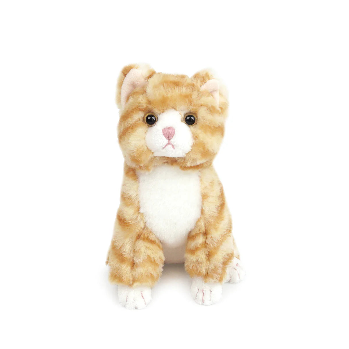 Chichi Kitty