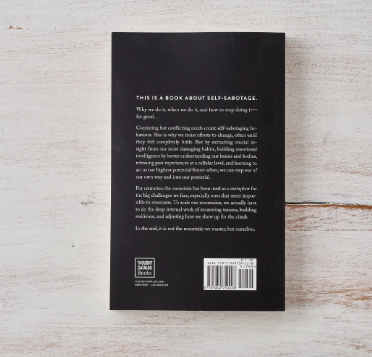 The Mountain is You Book