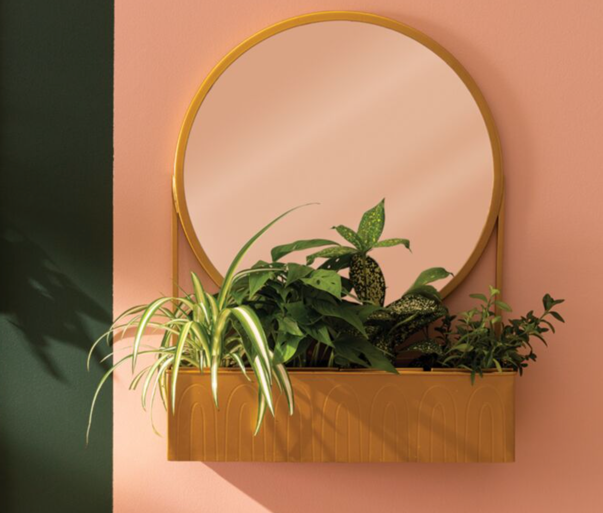 Contemplation Planter/Mirror