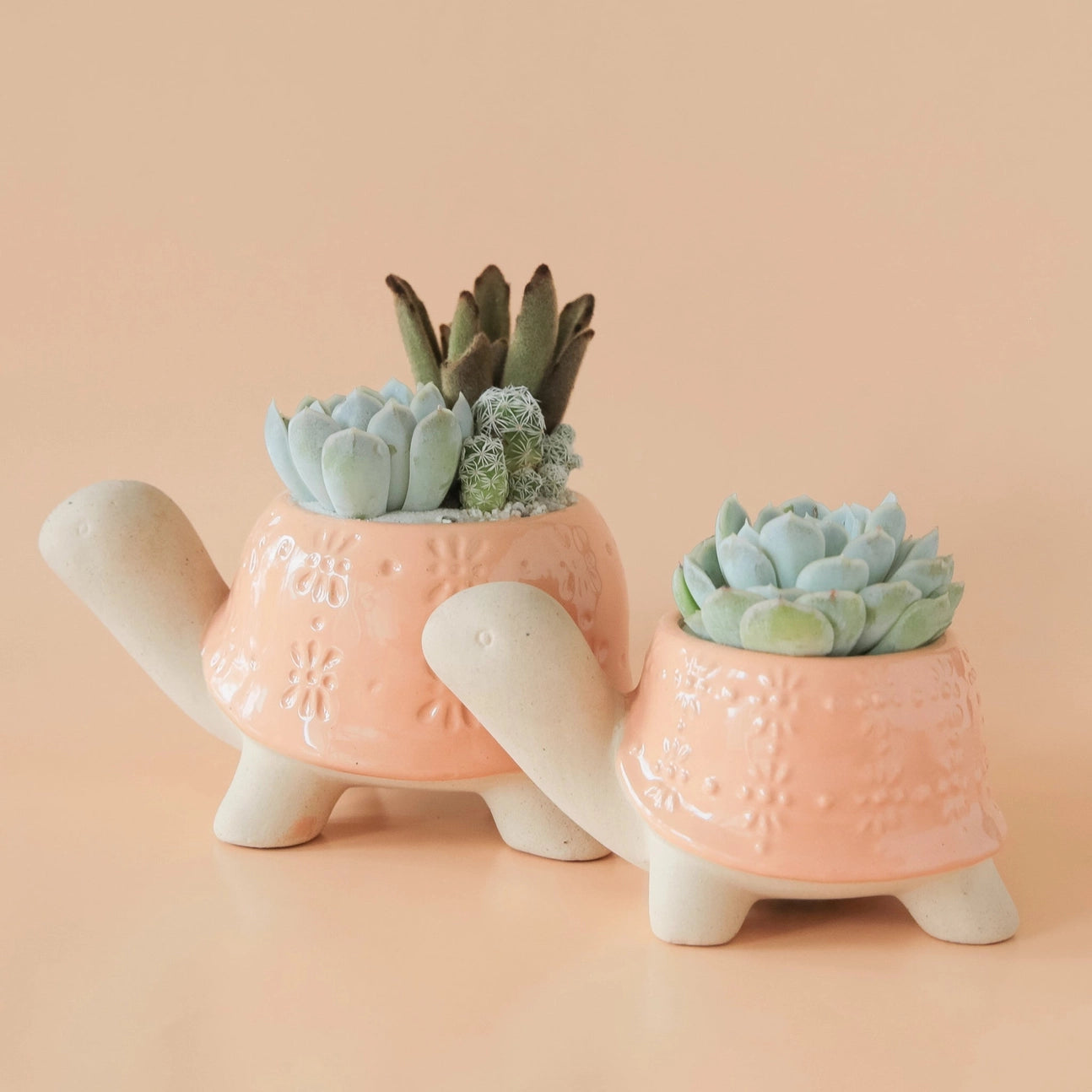 Sunset Turtle Planter