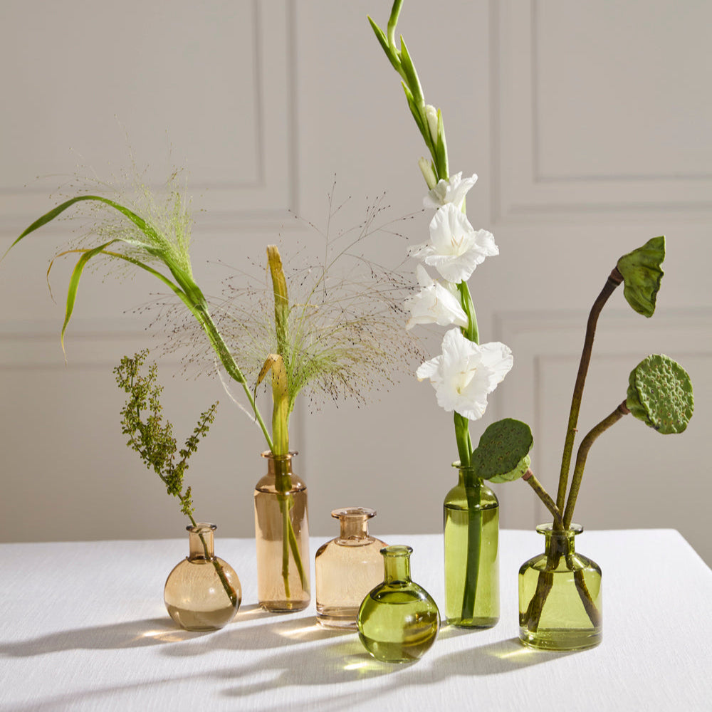 Carlotta Budvase