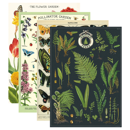 Cavallini Co Vintage Wrap Sheets