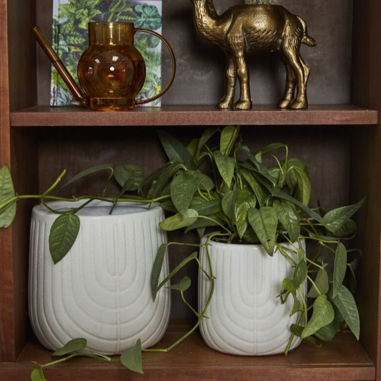Coronado Pot in two sizes on shelf with plants
