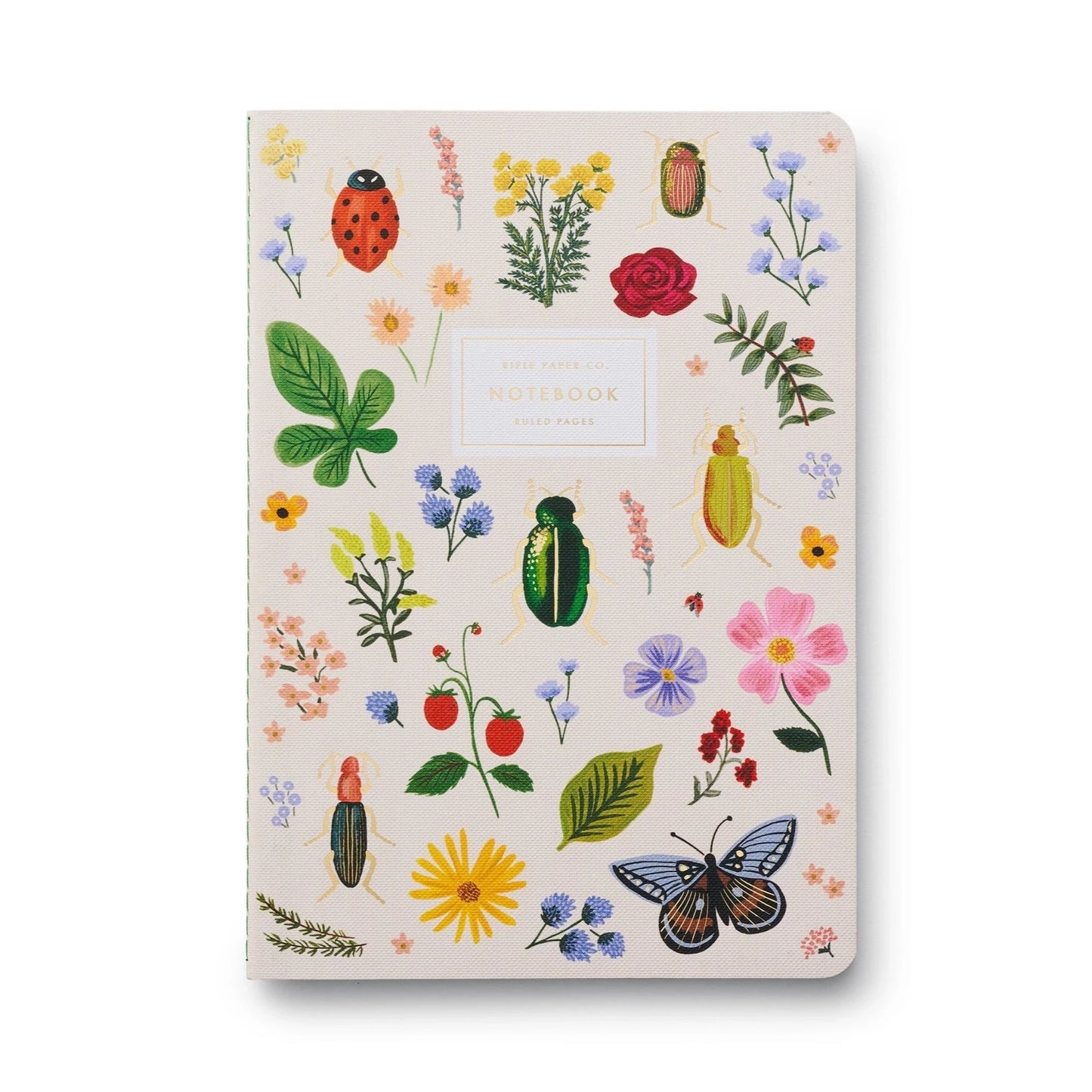 Curio Set of 3 Notebooks