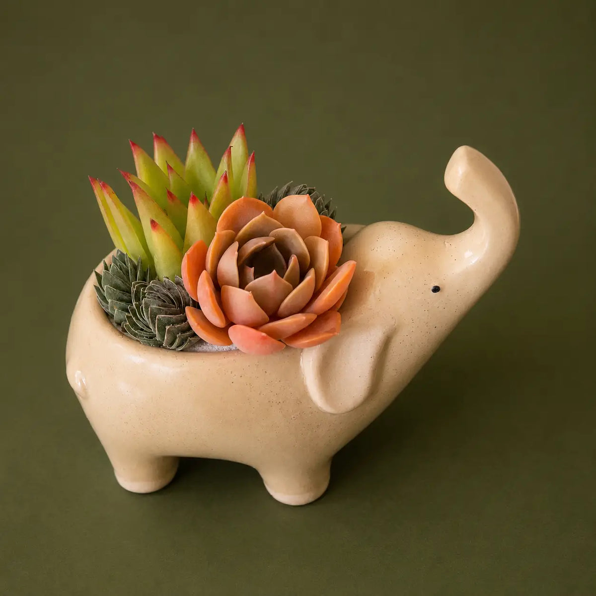Sand Elephant Planter