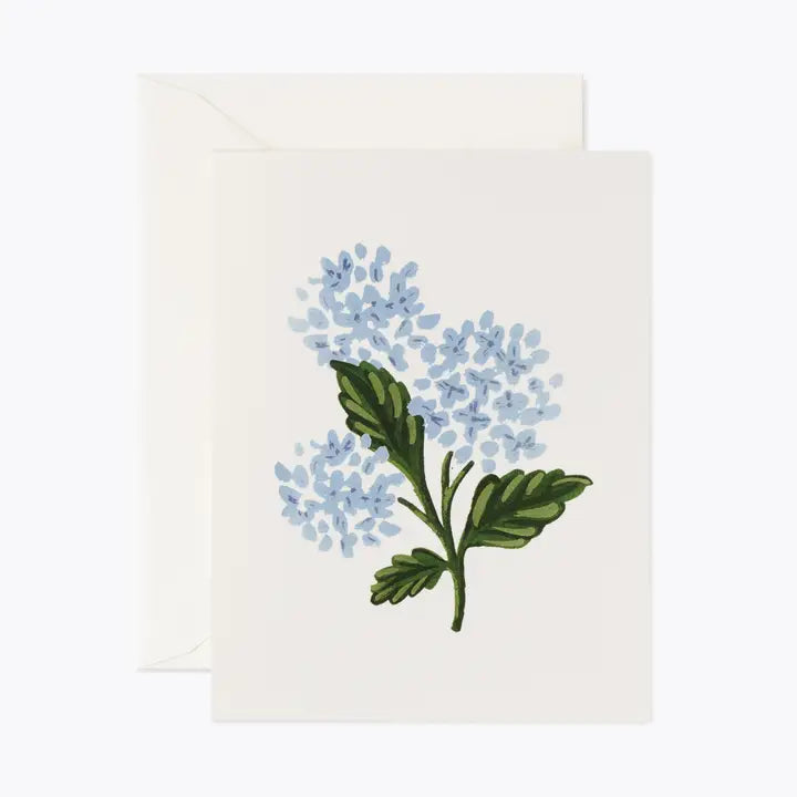 Hydrangea Bloom Card
