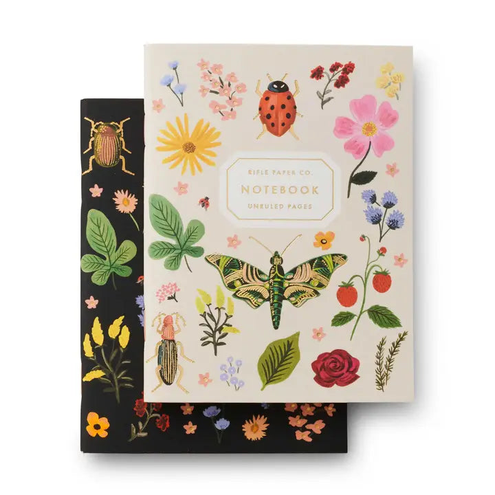 Pair of 2 Curio Pocket Notebooks