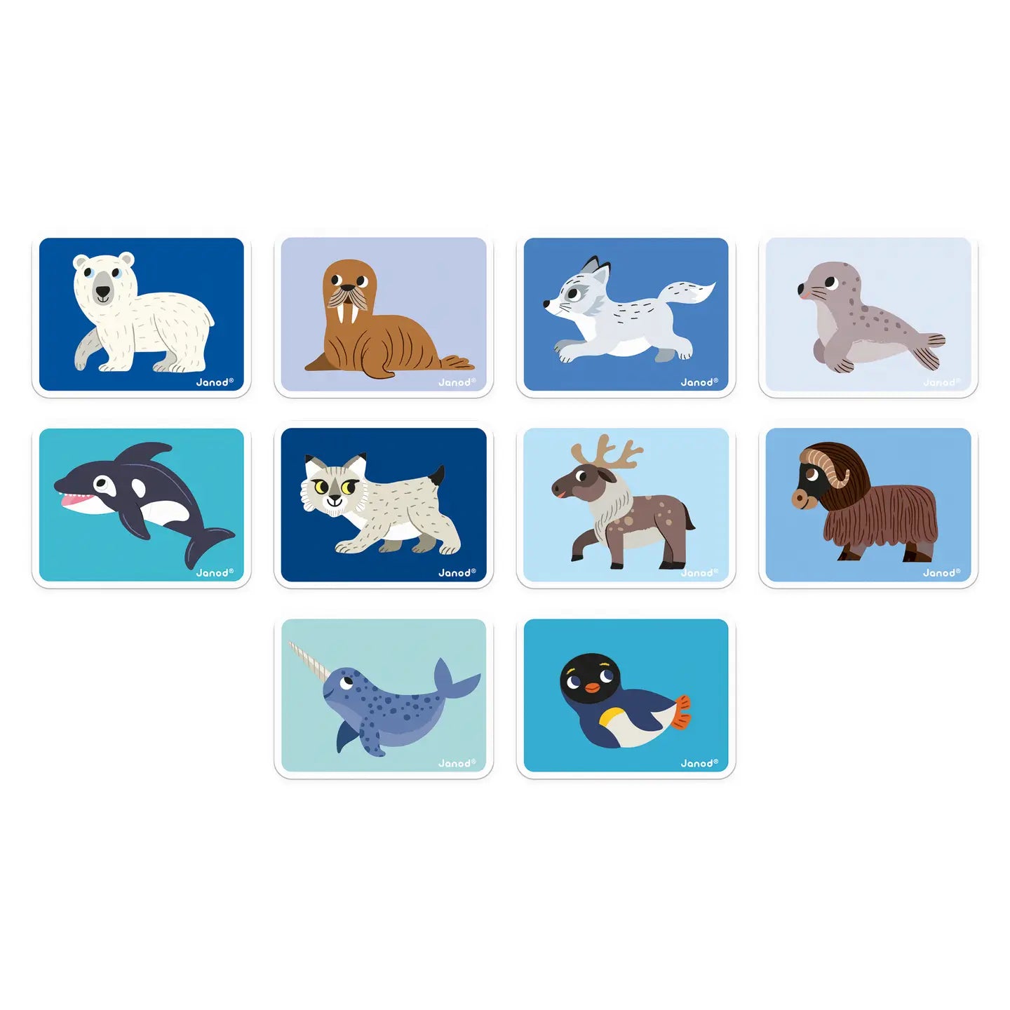 Magneti'book - Polar Animals