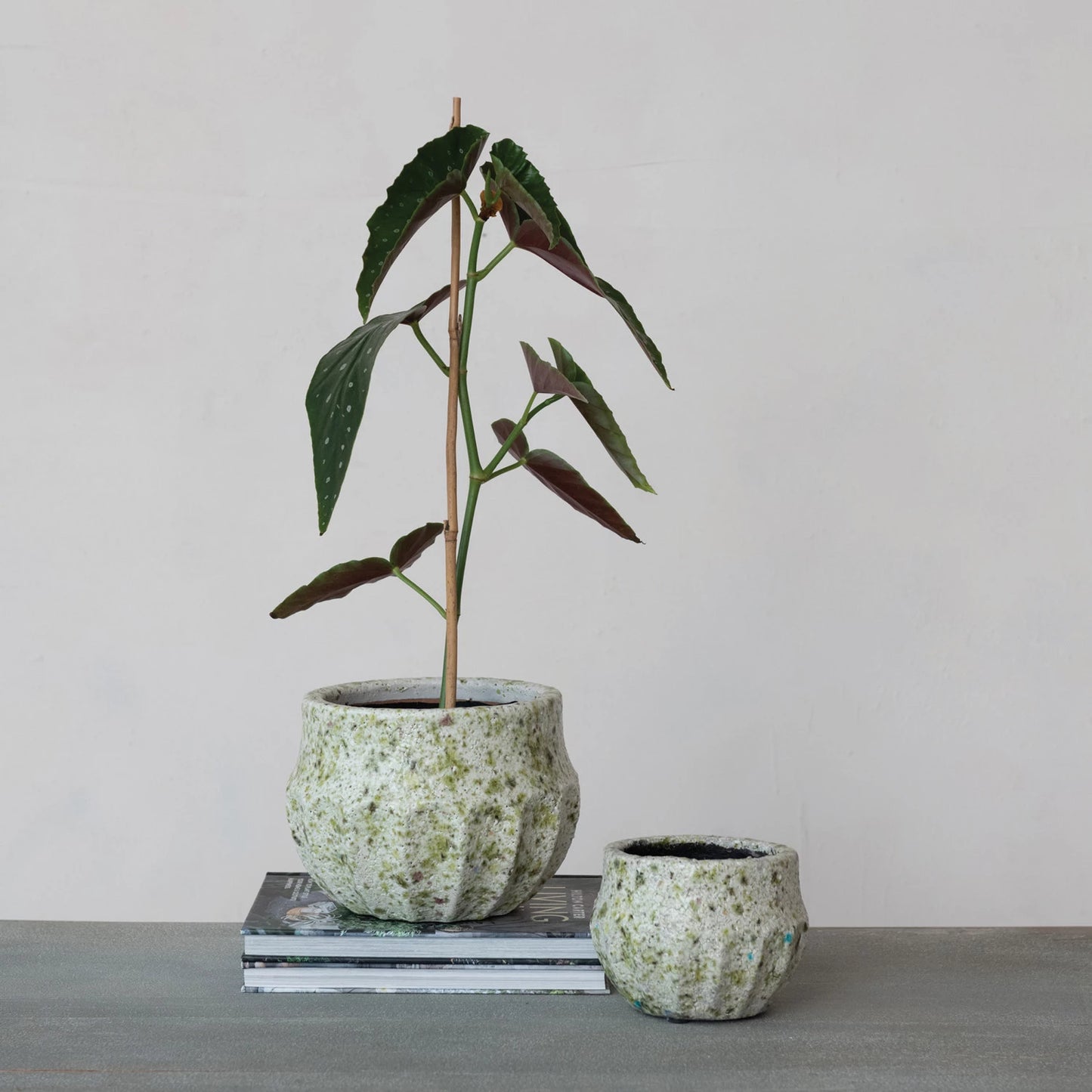 Terra-cotta Planter