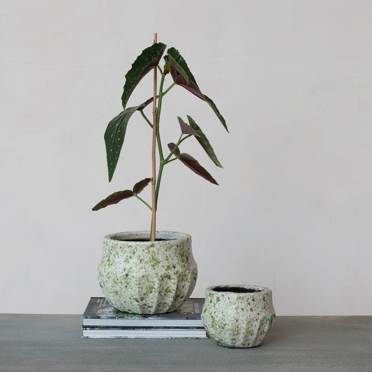 Terra-cotta Planter