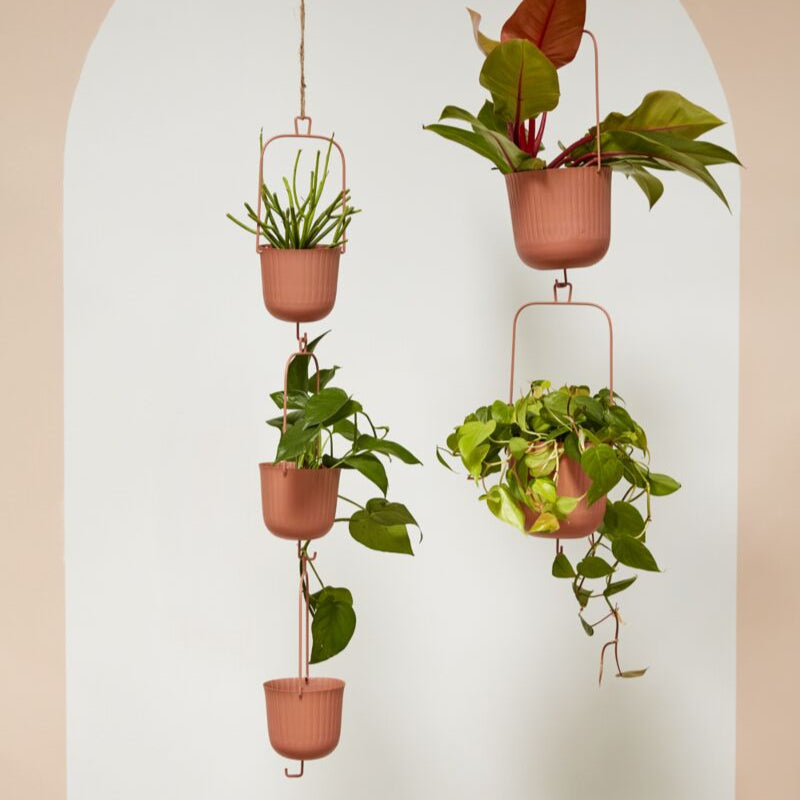 Gemini Hanging Pot