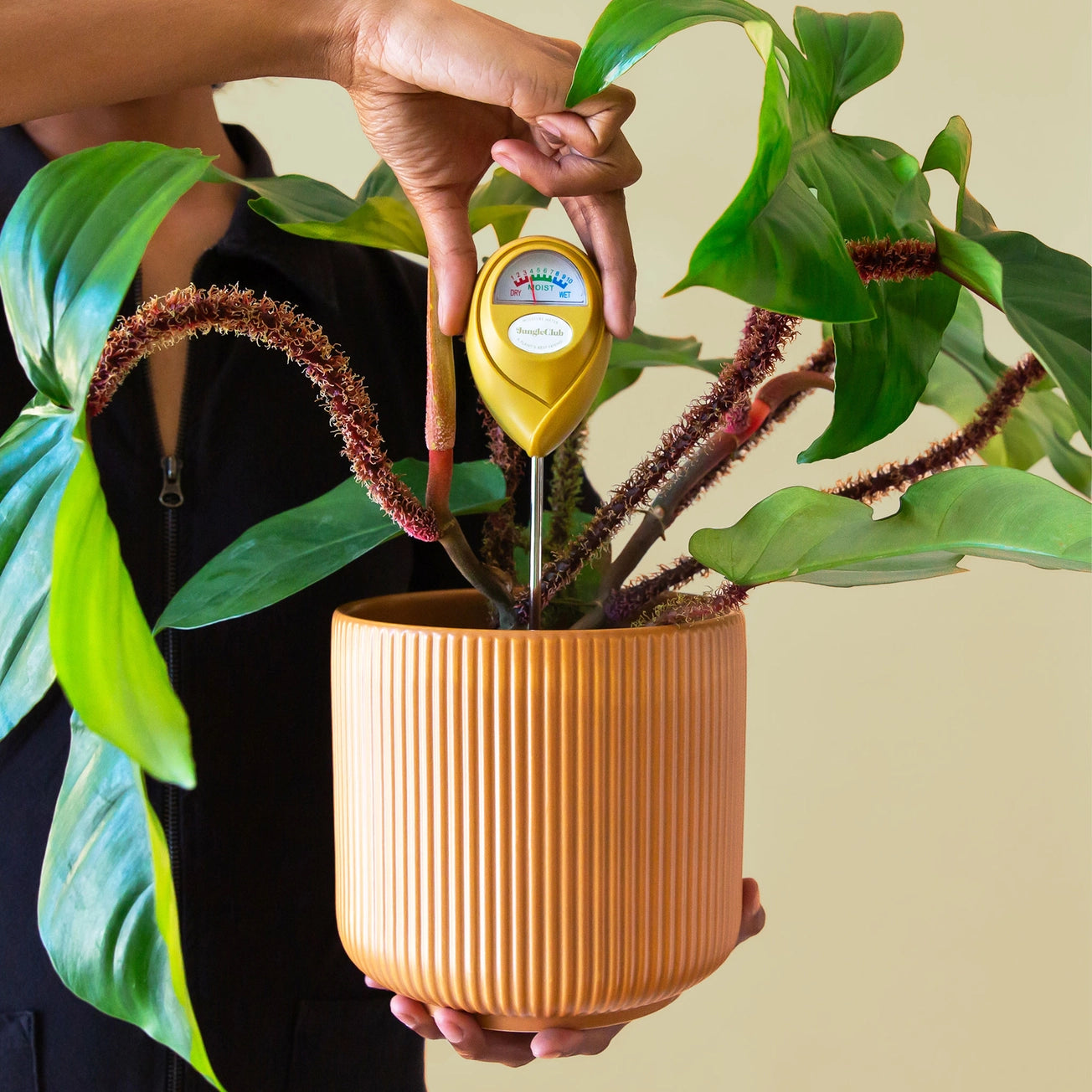 Moisture Meter