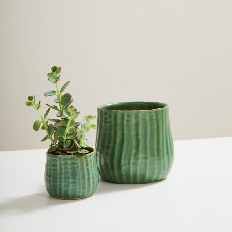 Palermo Pot