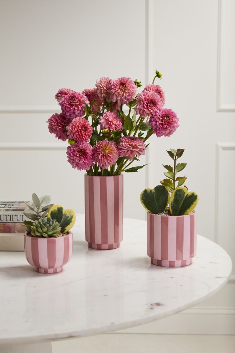 Pink Striped Collection