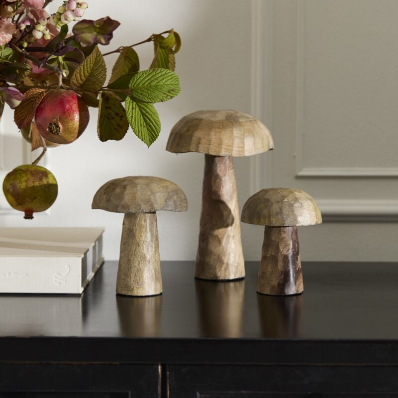 Porcini Mushroom
