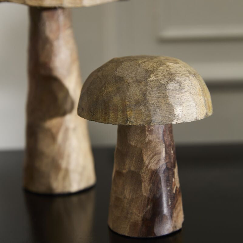 Porcini Mushroom