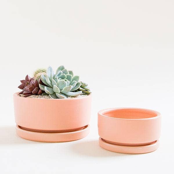 low bowl planter pots 6.5" Low Bowl