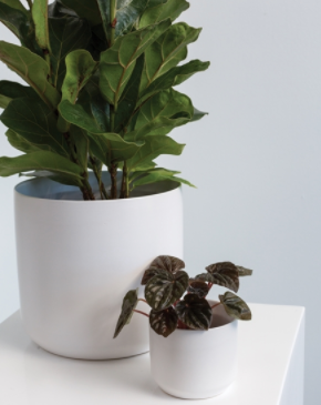 Kendall Pot Collection