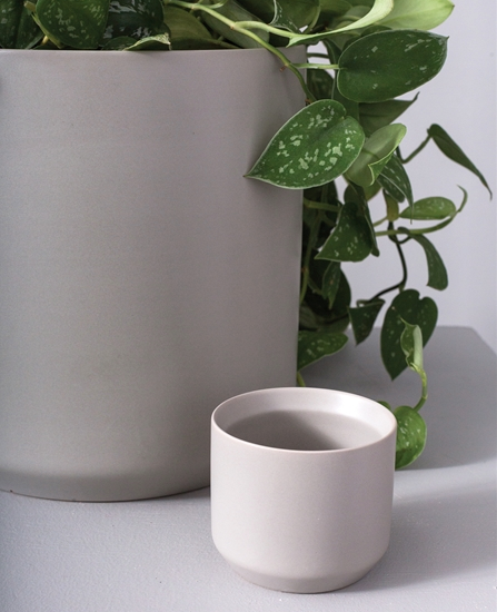 Kendall Pot Collection