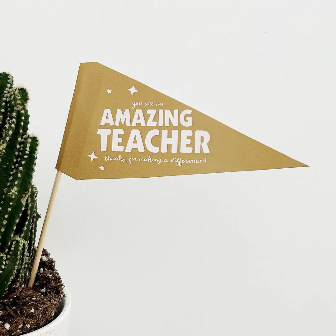 Teacher Appreciation Flag