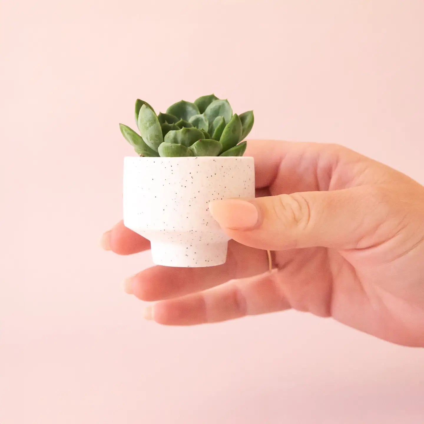 Speckle Footed Pot