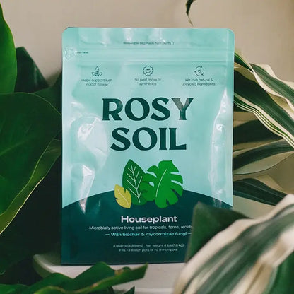 Organic Houseplant Soil Mix