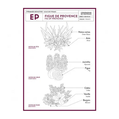Fig of Provence Travel Hand Cream