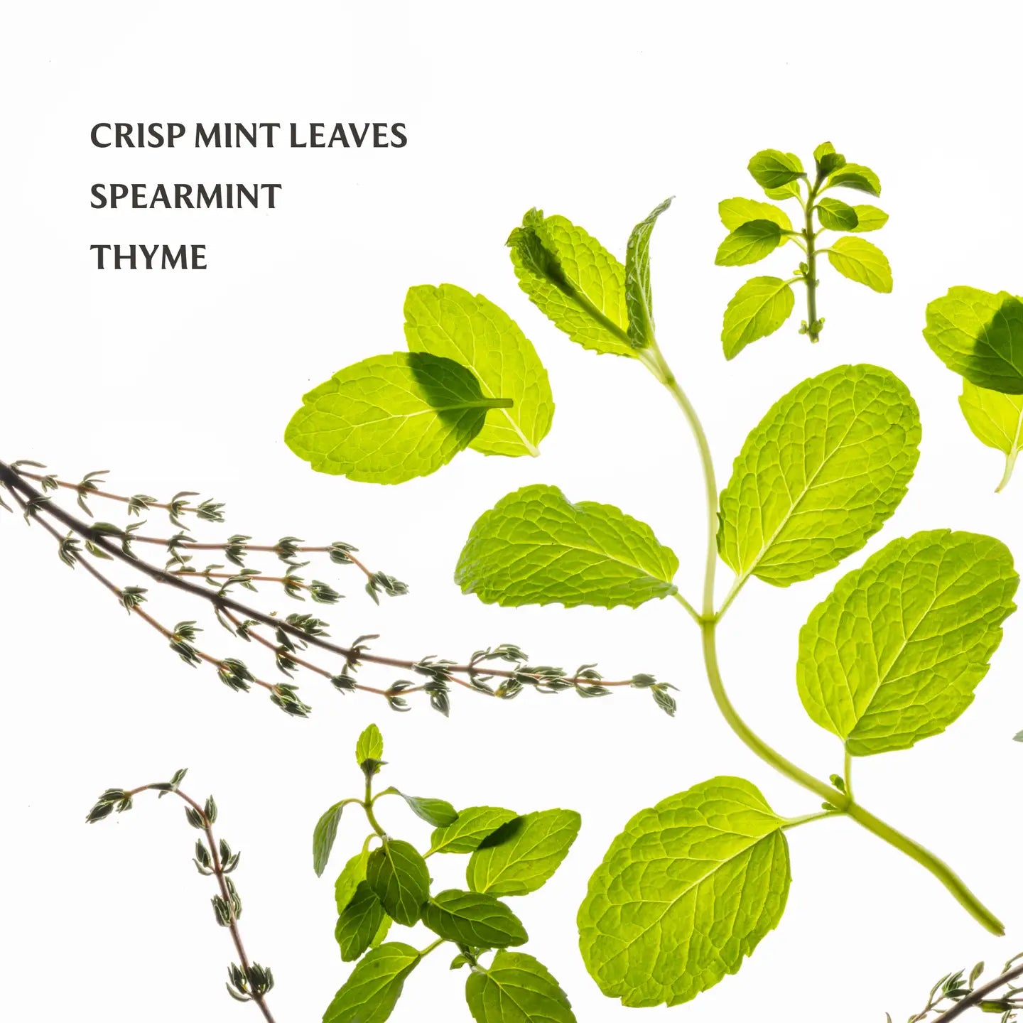 Touchland Frosted Mint Hand Sanitizer