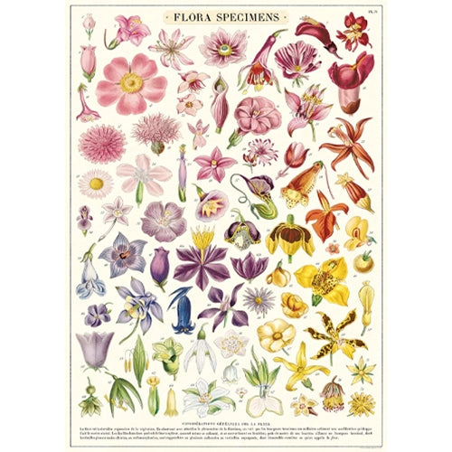 Cavallini Co Vintage Wrap Sheets