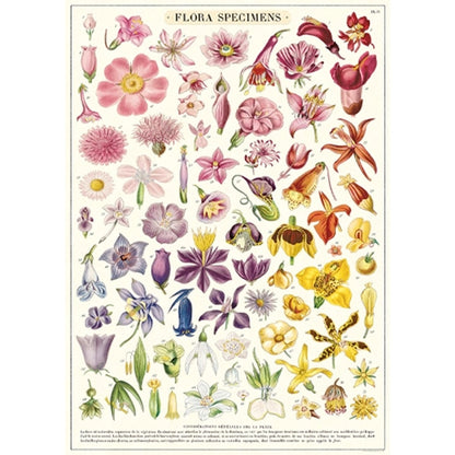 Cavallini Co Vintage Wrap Sheets
