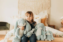 Load image into Gallery viewer, Roly Poly - Maui Blue Bunny
