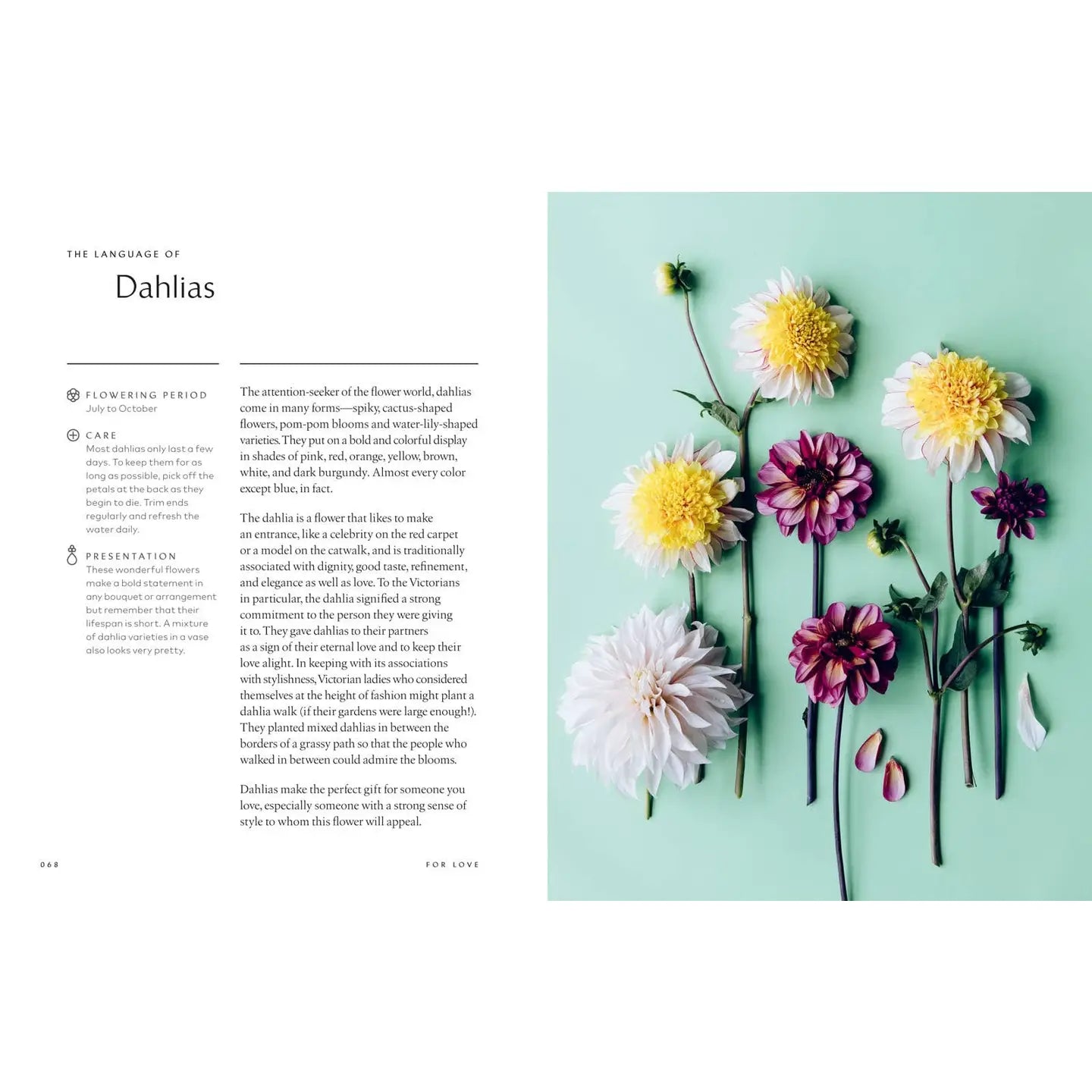 Healing Powers of Flowers