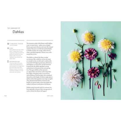 Healing Powers of Flowers