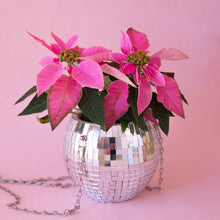 Load image into Gallery viewer, Disco Hanging Planter
