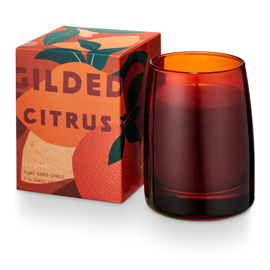 Boxed Glass Candle - Gilded Citrus