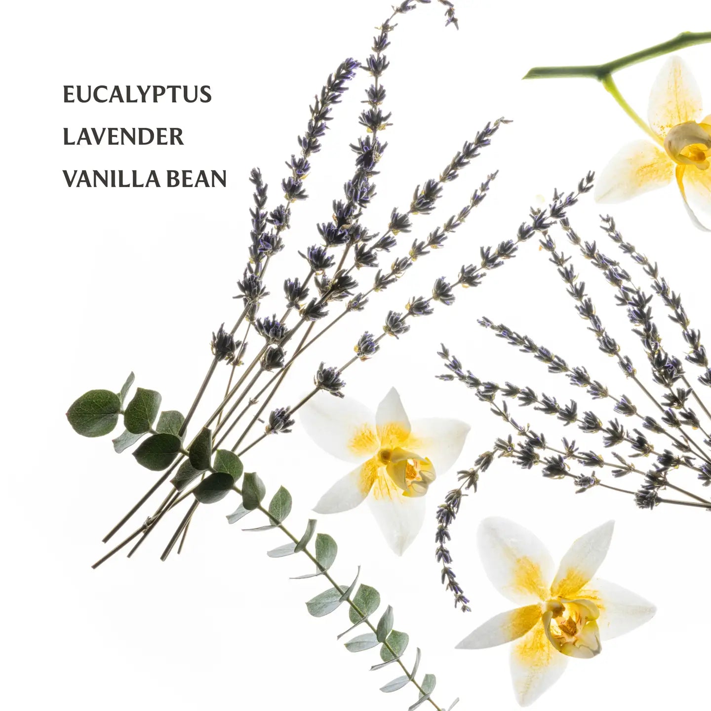 Touchland Pure Lavender Hand Sanitizer