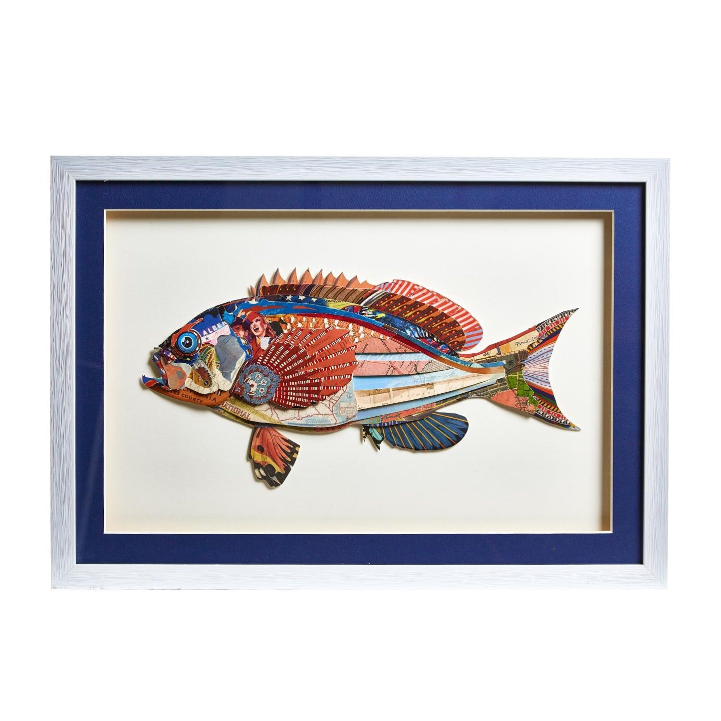 Fish Collage Framed Wall Art