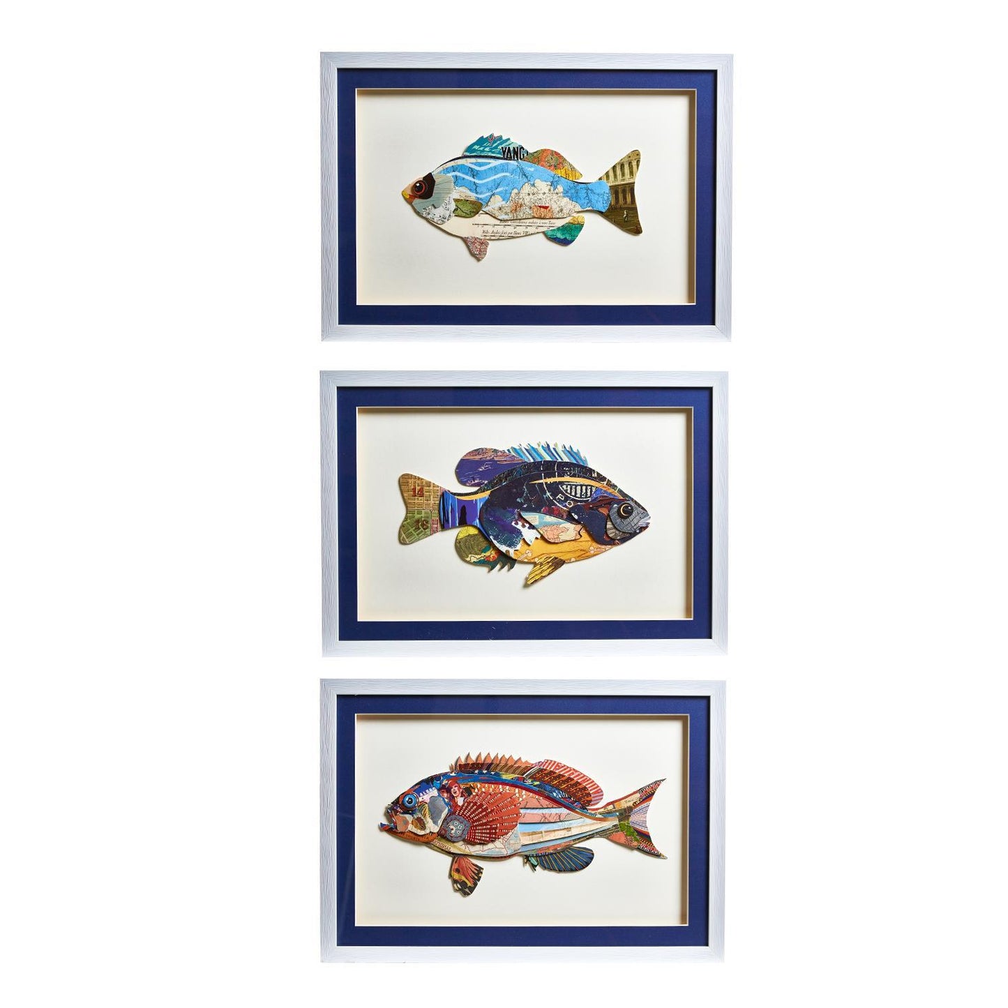Fish Collage Framed Wall Art